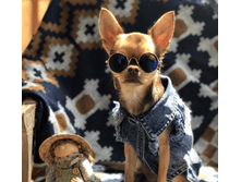 LIMARGY - ������ � ���������� ��� �������