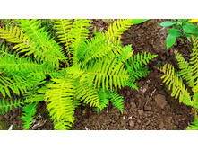 IMG 20190821 140216.jpg