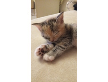 IMG 20190810 230805.jpg