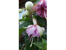 IMG 20190821 154441[1].jpg