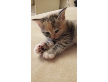 IMG 20190810 230801.jpg