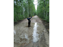 �������))