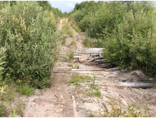 ���� � ������ ������� ��.