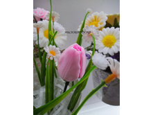 ����� �������� 250�