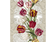 ����������� ������� 5550-1 ���. ������� 50 ��