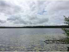 ��. ������