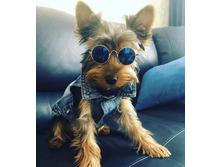 IMG 20190801 145617.png