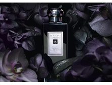 DARK AMBER & GINGER LILY JO MALONE ��� 100 �� 9200+%+����