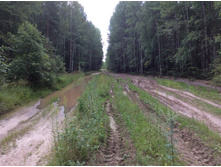 ����� ������� ����� =)), �������� �� �������