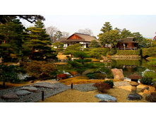 310114 katsurarikyu zenbu ��������� ���� �������������� ������.jpg