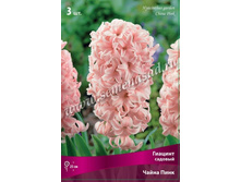 ������� ������� ����� ���� - � �������� 3�� 103�