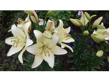 ����� 11.07.19.jpg