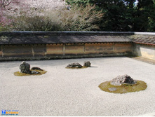 Kyoto ryoan ji stone garden.jpg