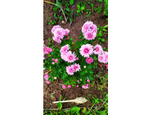 IMG 20190818 142053.jpg