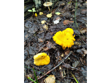 IMG 20190817 105621.jpg