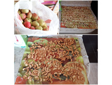 ����� �������