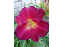 IMG 20190812 192322.jpg