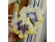 ��-�������� ������� �.jpg