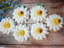 IMG 20190811 185003.jpg