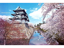 0 c03fe 8d39efbd XL.jpg