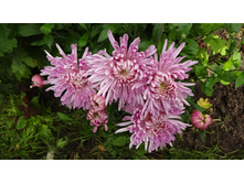 ���������  "����� "