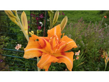 0-02-05-19b530861c4ad7ef12380bc566390794672b4499863f87ff8106ddb640db7330 full.jpg