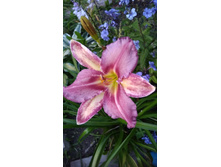 0-02-04-1b96d9fcb1d8b92e477c440eada31f8eaef096e9380fac5955acbc90cc858145 full.jpg