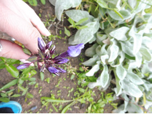 ������� ������