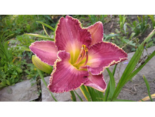 0-02-04-e3985fd0e7759c899fd77b73fec41eb00be0978843cb98e8e64c0bc69d50280c full.jpg