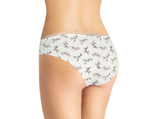 CLE B655� ����� ���.(�����.)