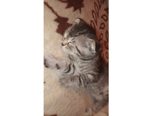 IMG 20190819 221108.jpg