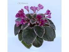 ��-������