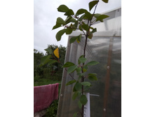 IMG 20190825 120504.jpg