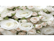 10915 300-160 (1 ���).png