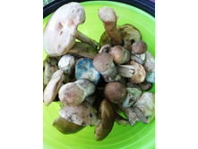 IMG 20190823 092246.jpg