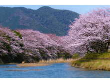 Elitefon.ru 21728.jpg