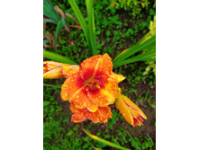 IMG 20190811 143108.jpg