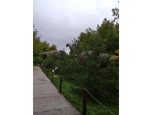 IMG 20190817 143335.jpg