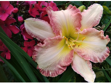 0-02-05-ce8907d5f87469fee7636d545f6dd819eb734550df13e8fa4568ef1ce160f472 full (2).jpg