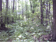 IMG 20190808 132004.jpg