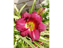 IMG 20190824 105127.jpg