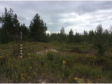 ������� � ������� ������