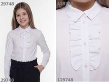 CLE ������ ���.792224�� �����.jpg