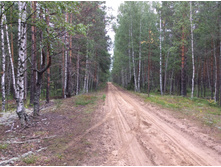 ����� �������� �� ���������