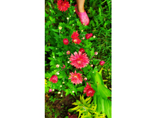 IMG 20190818 113239.jpg