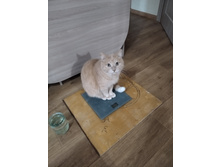 ����� �� ����� �����,�� ������� ��:)