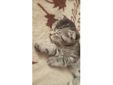 IMG 20190819 221100.jpg