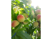 ������ �������� ������ 2019