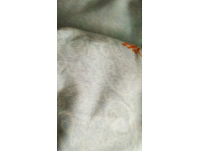 IMG 20190815 065507.jpg