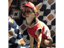 IMG 20190801 145629.png